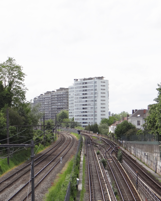 Photo du site