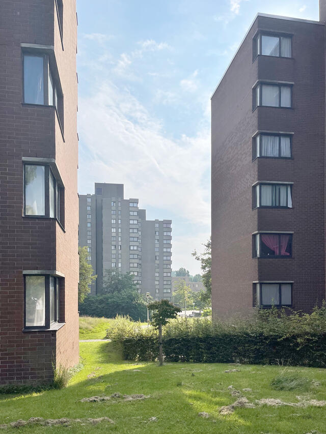 Photo des espaces public du quartier Versailles