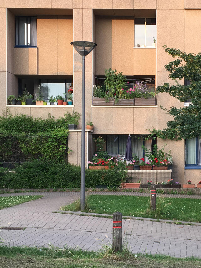Photo des espaces public du quartier Versailles