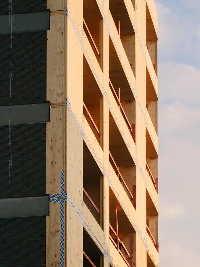 Façade en CLT 