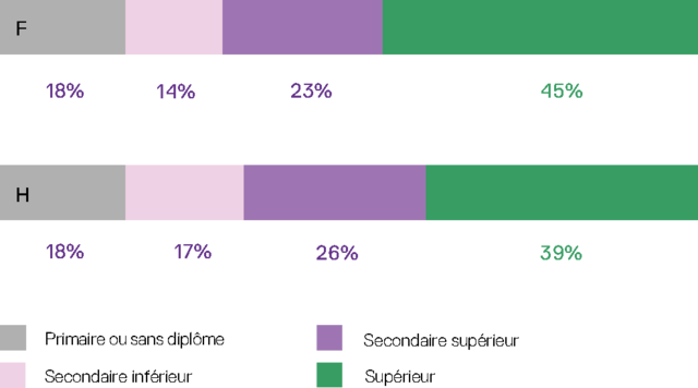 Statistique illustrant niveau d'instruction par sexe en Région bruxelloise 